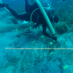 Υποβρύχια αρχαιολογία, εξερευνώντας τα ναυάγια