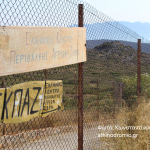 Οργανώσεις προστασίας άγριας ζωής και φύσης